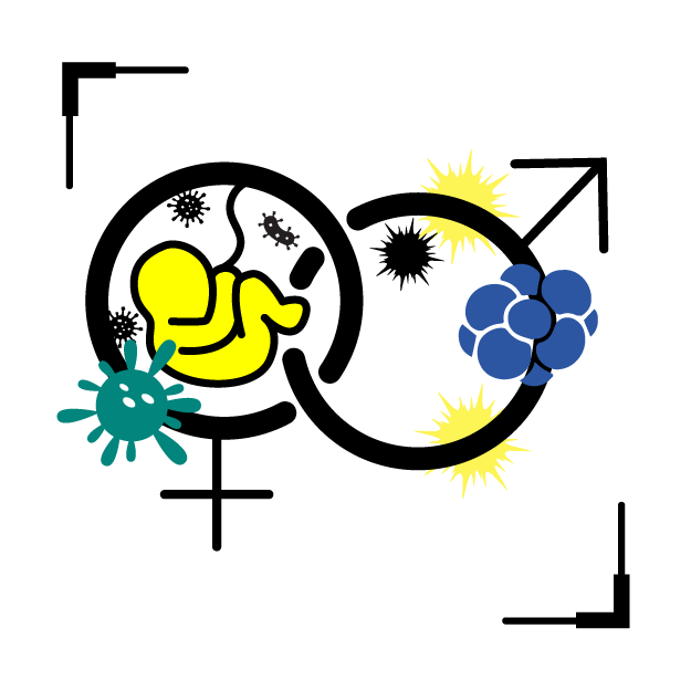 Graphic icon with male & female symbol, where germs and a feutus inside the symbols