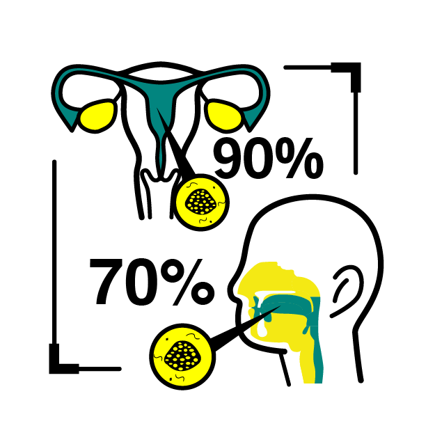 Graphic icon indicating 90% & 70% of HPV caused disease